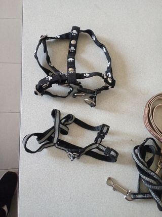 Lote de arneses para perros