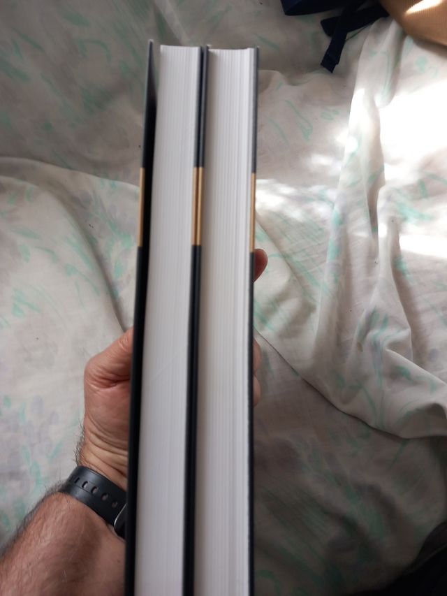 Desde el olvido y desde la memoria