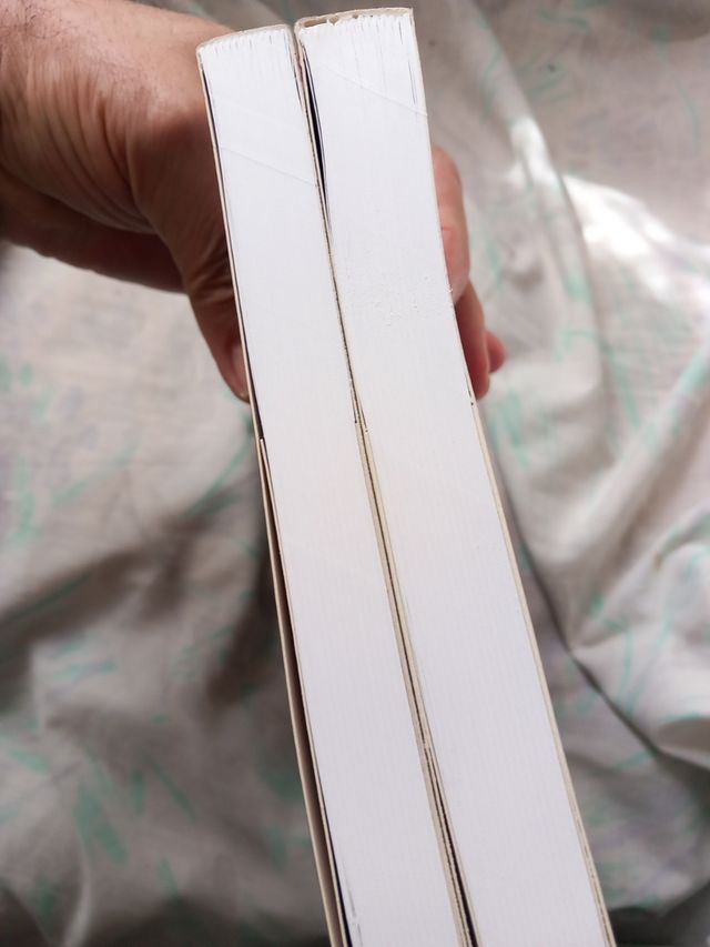 Desde el olvido y desde la memoria