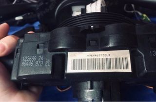 Mando Luces Peugeot Citroen 96446873ZL