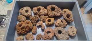 Rocas cueva y caracolas vacías para acuario