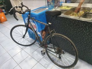 Bicicleta Teampro para uso diario