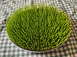 Escurridor biberones y tetinas Olmitos.