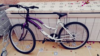Bicicleta Morada y Blanca
