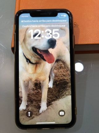 iPhone XR 256 GB Negro