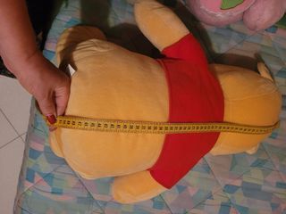 Peluche Winnie the Pooh grande