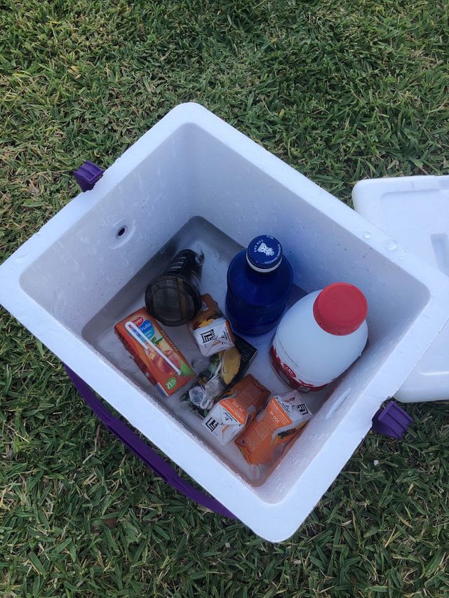 Nevera Neverita Polar Box Grande