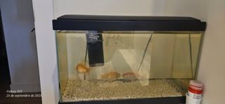 Acuario Negro y Transparente