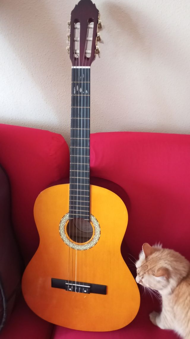 Guitarra Española