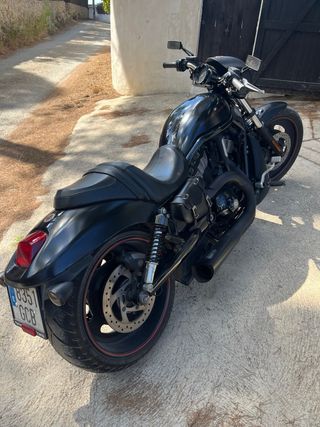 Harley Davidson Night Rod Special