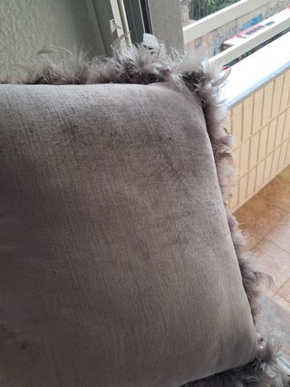 Cojines decorativos con plumas de zara home 40x40