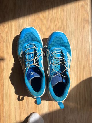 Zapatilla Salomon Sense Ride 5 Azul