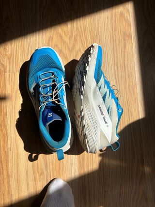 Zapatilla Salomon Sense Ride 5 Azul