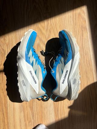 Zapatilla Salomon Sense Ride 5 Azul