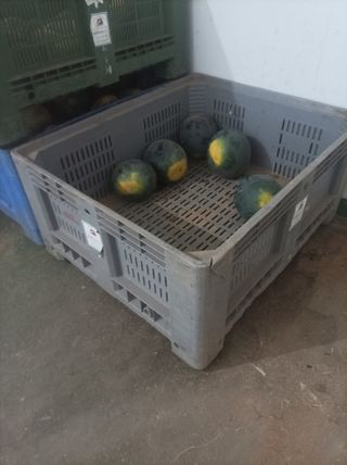 Vendo Contenedores de plástico seminuevos