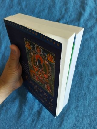 Pack de libros de Budismo y meditación.