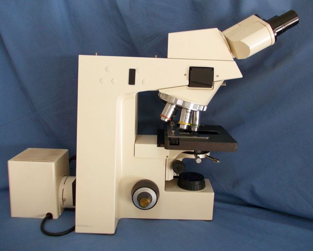 Microscopio profesional Zeiss Axioskop