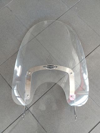 Respaldo y portaequipajes Harley Davidson. Cúpula.