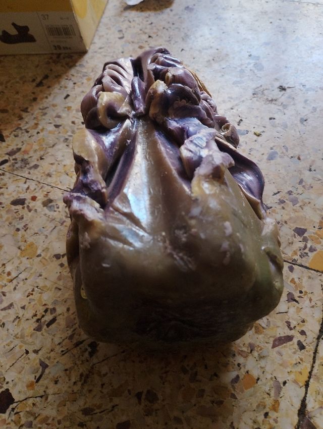 Vela Souvenir Venecia Vintage.