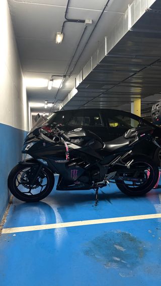 Kawasaki Ninja 300