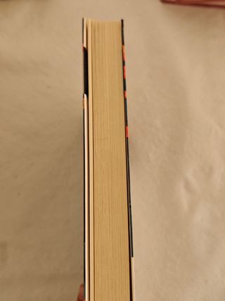 Delirio (Premio Alfaguara de novela 2004) (Span...