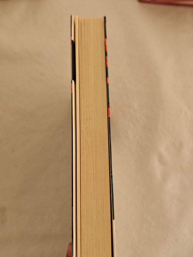 Delirio (Premio Alfaguara de novela 2004) (Span...