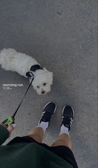 Paseadora de perro