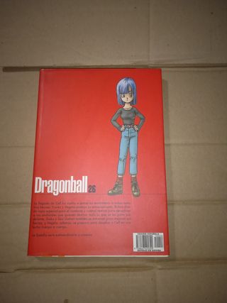 Dragón ball N26