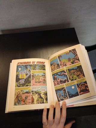 LAS AVENTURAS DE JOSELITO: El pequeño ruiseñor