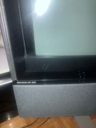 TV Bang & Olufsen Negra y Gris