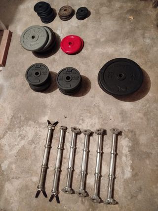 Barras discos mancuernas curl gimnasio Domyos