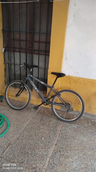 Bicicleta de montaña gris