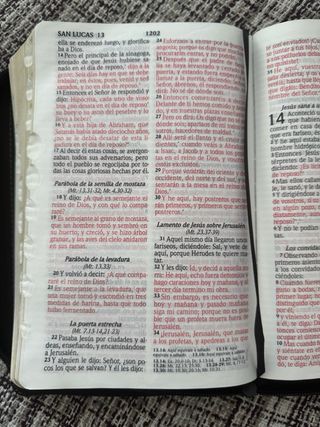 Biblia RVR 1960 letra grande