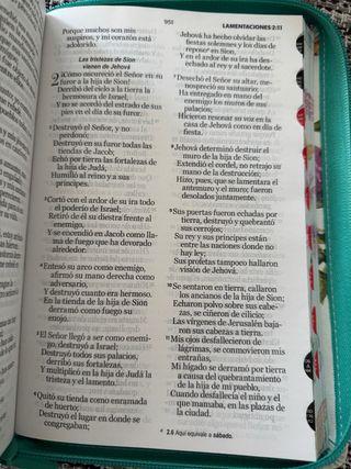 Biblia RVR 1960 letra grande