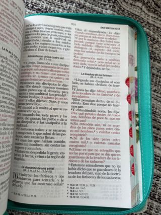 Biblia RVR 1960 letra grande