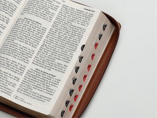 Biblia RVR 1960 letra grande águila