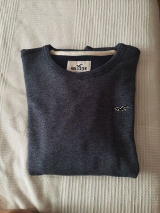 Sudadera Hollister Hombre Gris