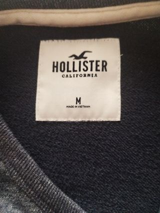 Sudadera Hollister Hombre Gris