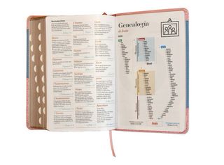 Biblia RVR 1960 letra grande