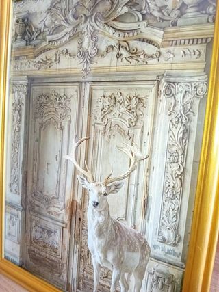 Quadro in oro White Deer con porta vintage