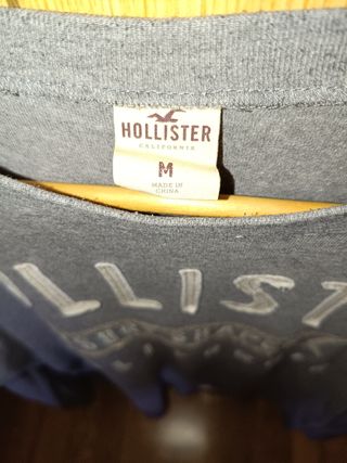 Camiseta Hollister manga larga gris
