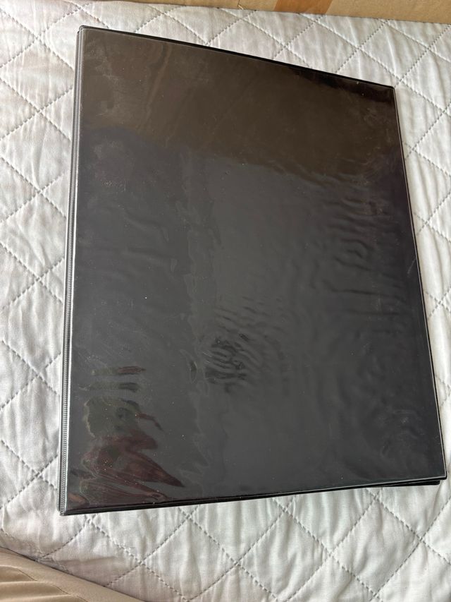 Lote de carpetas con anillas