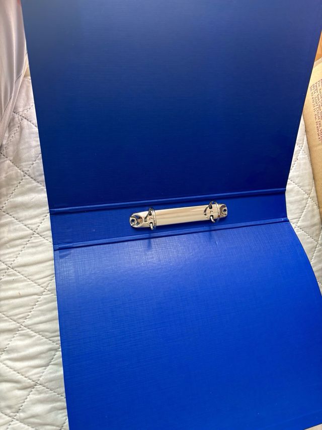 Lote de carpetas anillas