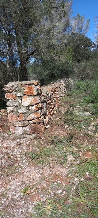 Colocar pedra 