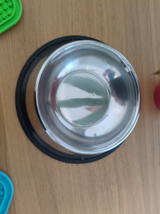 Bebedero, comedero y 2 lickmats