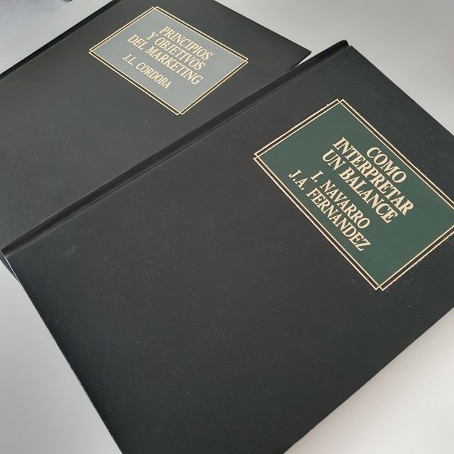 Como interpretar un balance y Principios y ob.