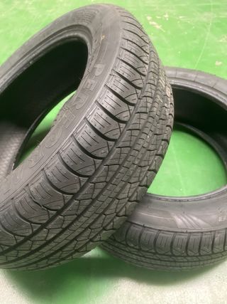Pareja Neumáticos 225/55R18 98H Navigator Performa