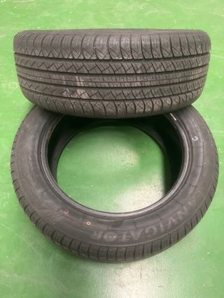 Pareja Neumáticos 225/55R18 98H Navigator Performa