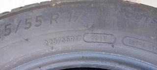 Michelin 225/55 R17 101V Neumático
Pareja 