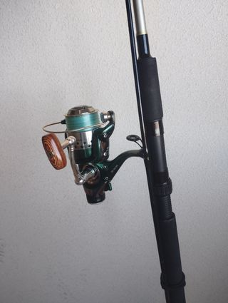 Caña de Pesca con carrete